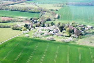 Frith Farm House Cottages - 3