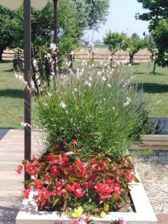 Villa Katy - Tormine - 6