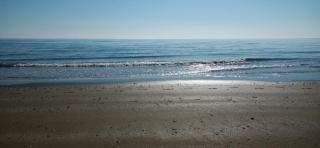 LA NATURA AL MARE - Cavallino-Treporti - 7