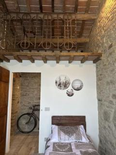 L'oasi delle volpi - Tuoro sul Trasimeno - 4