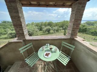 L'oasi delle volpi - Tuoro sul Trasimeno - 2