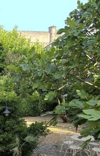 La Villa Carcassonne, Cité 8 min à pieds, Clim, Piscine, Full Wifi, Borne 7,5kW, Vélo élect, Parking privé - Carcassonne - 7