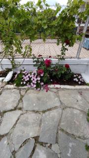 Keti's Apartments - Nea Moudania - 2