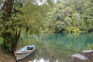 Ruca del Fuy - Panguipulli - 8