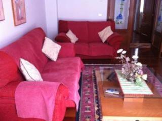 Apartamento increible en el centro de Cangas de Onís - Cangas de Onís - 8