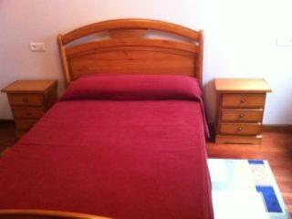 Apartamento increible en el centro de Cangas de Onís - Cangas de Onís - 6