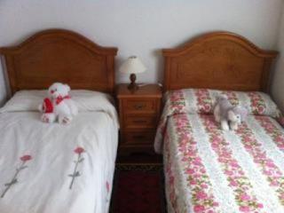 Apartamento increible en el centro de Cangas de Onís - Cangas de Onís - 5
