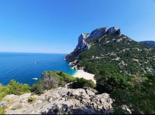 appartamento Oleandro - Cala Gonone - 5