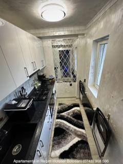 Apartament cu o camera de Lux cu Jacuzzi/Constelatie complet utilat acceptam plata cu cardul de vacanta - Botoşani - 6