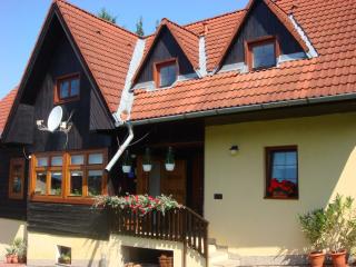 Drevenica Michael - Liptovský Trnovec - 5