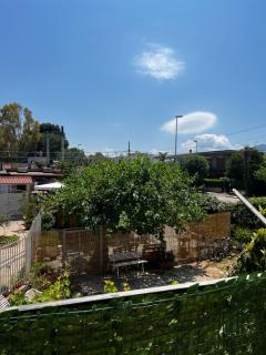 Tiny house - Palermo - 7