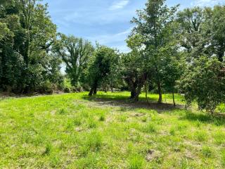 Lemonade Cottages - 3