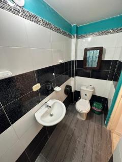 ACOGEDOR Y BONITO APARTAMENTO EN PALMIRA - Palmira - 1
