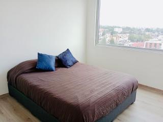 Romulo OFarril 2parking-3BR-2BA - Città del Messico - 5