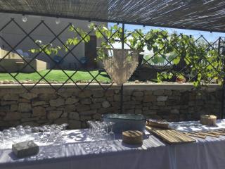 Mas provençal dans un lieu exceptionnel - Bollène - 8