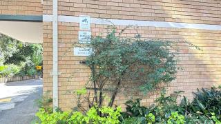 Macquarie university and Metro nearby - Sydney - 3
