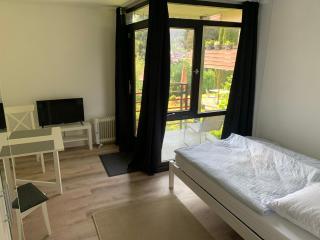 Kleines Einzimmer-Apartment 14 - 2