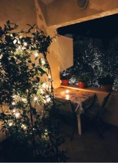 Apartment Novigrad - 2