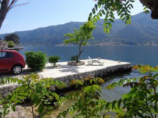 Apartments Ponta - Kotor - 4