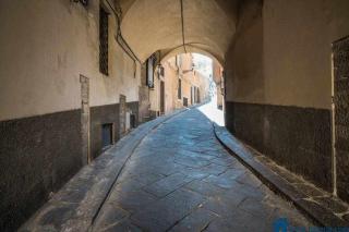 Rossini Apartment With private Entrance - Firenze - 1