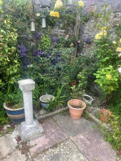 Ivybridge Cottage - Ivybridge - 2