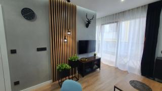 Apartament Midnight Blue - Breslavia - 7