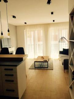 2 BED APARTMENT IN BANSKO RESORT - Bansko - 6