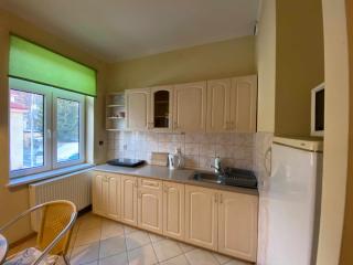 Apartament w Willi Cis - Krynica-Zdrój - 3