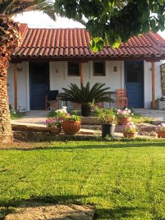 Gregory's Village - 3