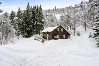 Koselig hytte med sjel på fjellet :) - Tjørhom - 8