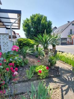 urige gemütliche Ferienwohnung 64 m2 in Dielheim, Nähe Heidelberg - Dielheim - 8