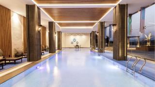 Jay Clarks Exotica - 8