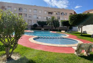 Apartamento en urbanizacion con piscina y jardin en Torrevieja 5 minutos de la playa - Torrevieja - 7