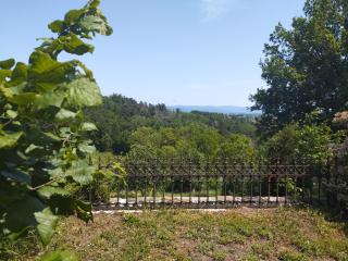 Gîte du Cèdre - 2