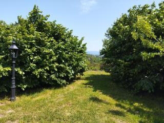Gîte du Cèdre - Courpière - 3