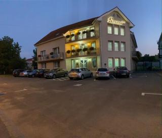 Vila Roxana - Sînmartin - 7