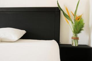 Room in Guest room - Standard Queen Room two beds n01 - Puerto Escondido - 9
