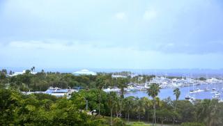 Relaxing Condo Hotel In The Grove, Free Parking - Miami - 9