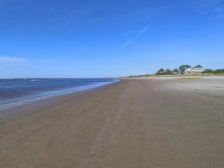 Dolphin Dance - Tybee Island - 4