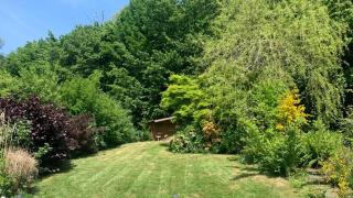 La Maison Ardoise - Herbeumont - 4