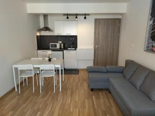 Brand new studio apartment # 42 in brand new building with free parking in the center - Prague - 9