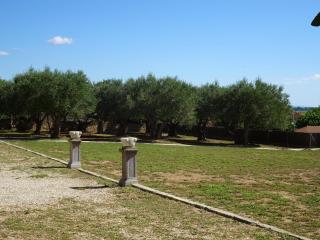 Mas Solés - Parlavà - 4