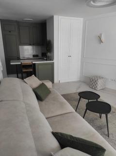 Penthouse Las Americas first line de lux - Arona - 2
