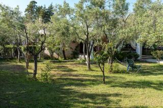 Casa Ginepro - Olbia - 0