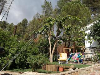 La casita Del Río. - Navalespino - 6