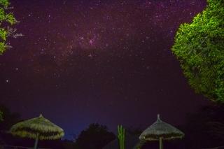 Africa Safari Selous Camping - Kwangwazi - 8