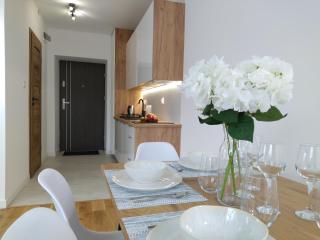 nowy Klimatyczny apartament z balkonem - Willa Sowia - 8