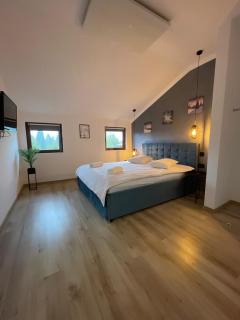 Harmony Apartment Poiana Brasov - Poiana Brasov - 2