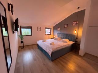 Harmony Apartment Poiana Brasov - Poiana Brasov - 6