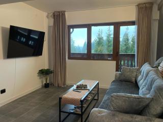 Harmony Apartment Poiana Brasov - Poiana Brasov - 8